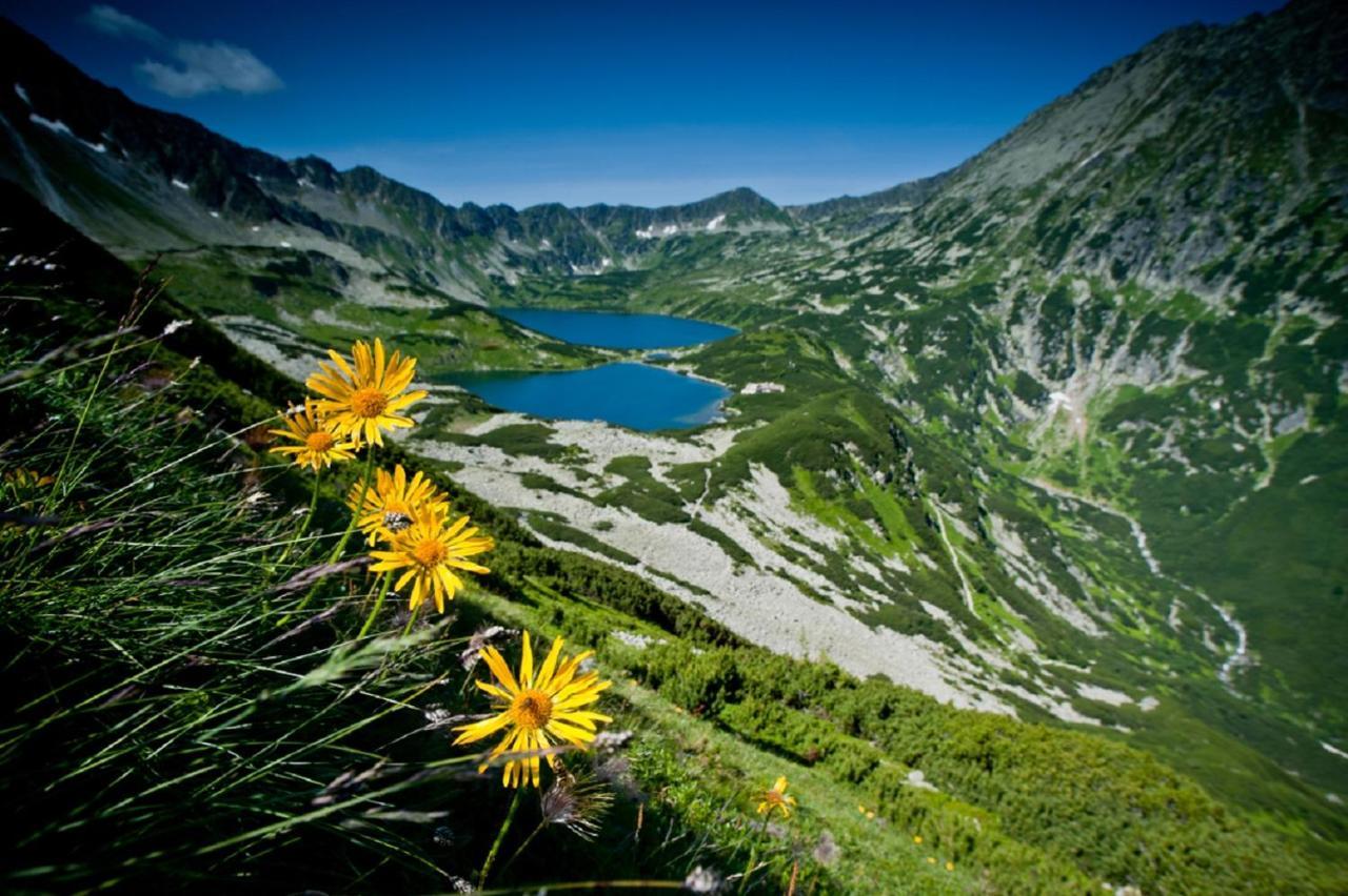 Willa Bachledówka Zakopane Exterior foto